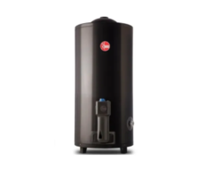 Termotanque Rheem A Gas De Pie 80 Lts Gas Natural Carga Superior