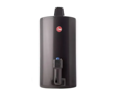 Termotanque Rheem A Gas De Colgar 80 Litros - C/inferior Gn